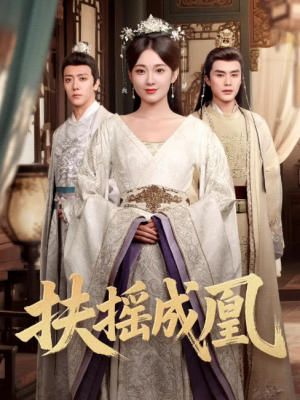 扶摇成凰（30集）