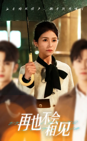 再也不会相见（33集）