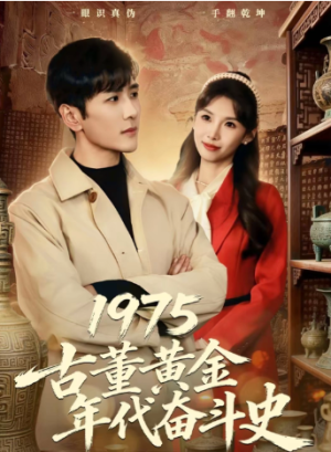 1975古董黄金年代奋斗史（80集）