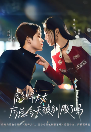 彪悍太太厉总今天被驯服了吗（88集）