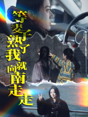 等麦子熟了我就向南走走（41集）