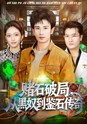 赌石破局从黑奴到鉴石传奇（64集）