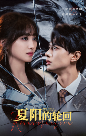 夏阳的轮回（85集）
