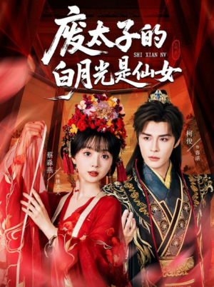 废太子的白月光是仙女（64集）