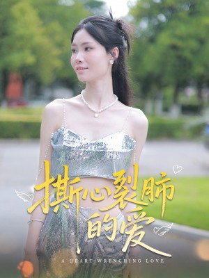 撕心裂肺的爱(17集)