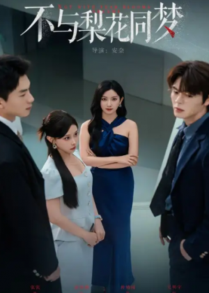 不与梨花同梦（50集）