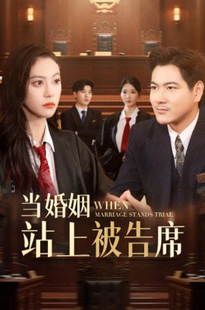 当婚姻站上被告席(30集)