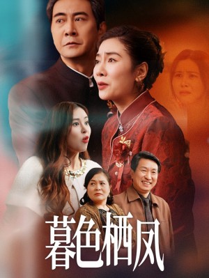 暮色栖凤(35集)