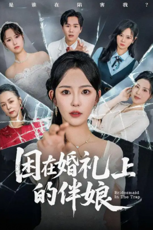 困在婚礼上的伴娘(60集)