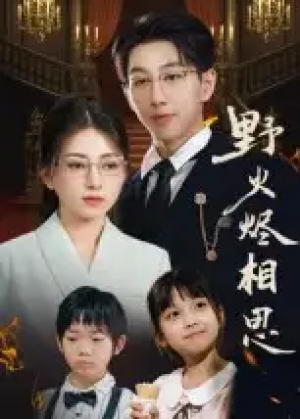 野火烬相思（61集）