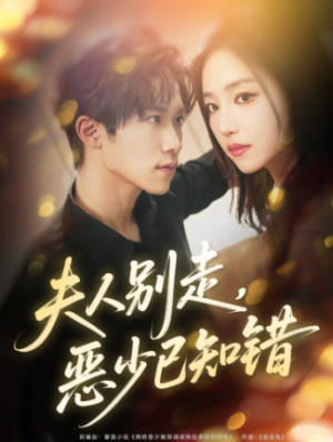 夫人别走恶少已知错（60集）