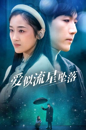 爱似流星坠落（你比我重要万倍）（30集）