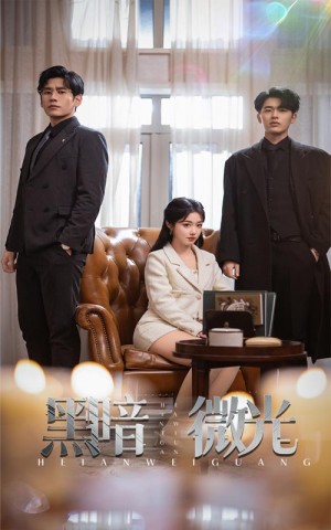 黑暗微光（66集）