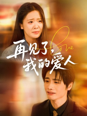再见了我的爱人(62集)