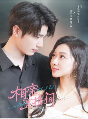 相亲直播间（54集）