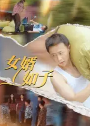 女婿如子（40集）