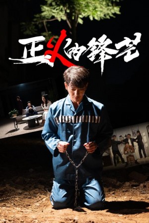 正义的锋芒(64集)