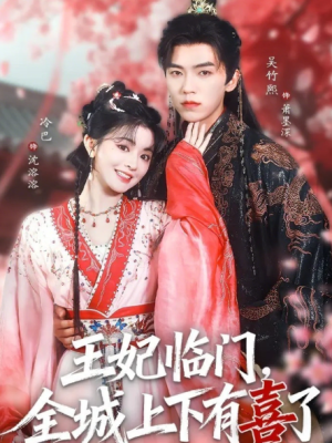 王妃临门全城上下有喜了（66集）