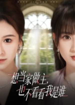 想当家做主也不看看我是谁（60集）