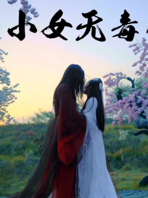 小女无毒(14集)
