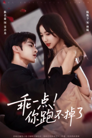 乖一点你跑不掉了（80集）