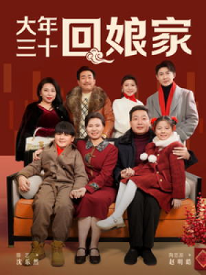 大年三十回娘家（30集）