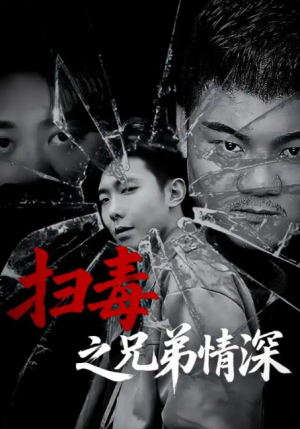 扫毒之兄弟情深（50集）