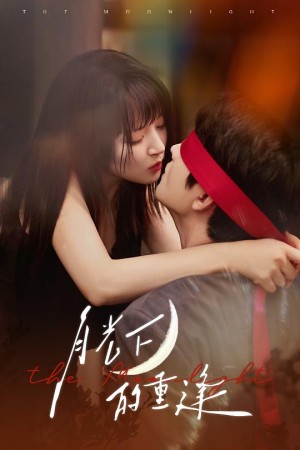 月光下的重逢(54集)
