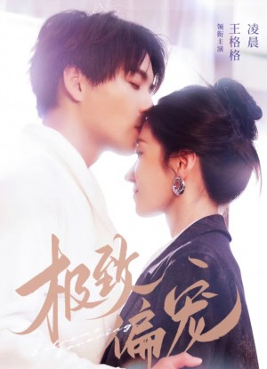 极致偏宠 （20集）