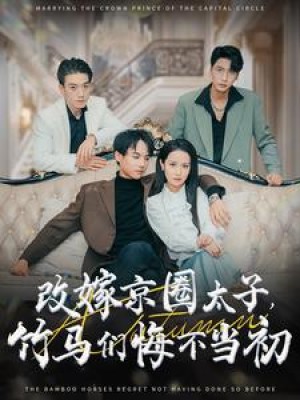 改嫁京圈太子竹马们悔不当初（30集）