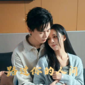 路过你的人间（31集）