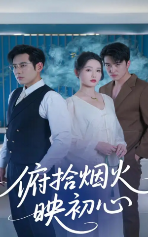 俯拾烟火映初心(60集)