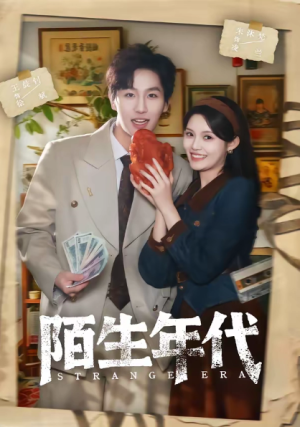 陌生年代（104集）