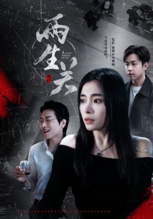 两生关（40集）