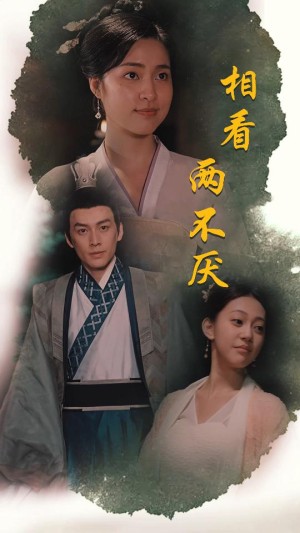 《相看两不厌（这个王妃不好惹）》（85集）