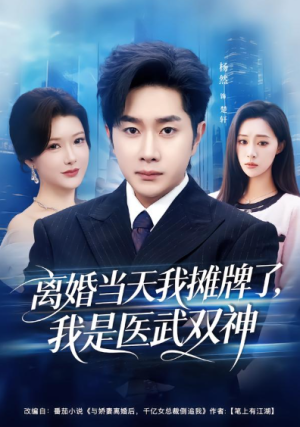 离婚当天我摊牌了我是医武双神（80集）