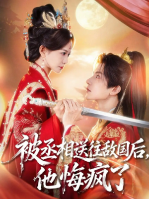 被丞相送往敌国后他悔疯了（60集）