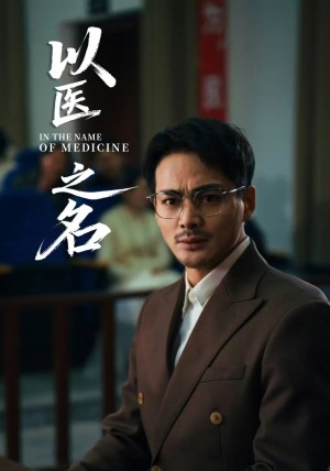 以医之名(30集)