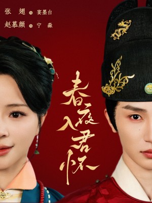 春夜入君怀(65集)