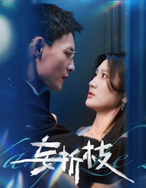 妄折枝 未删减版(53集)