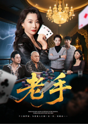 老手(36集)