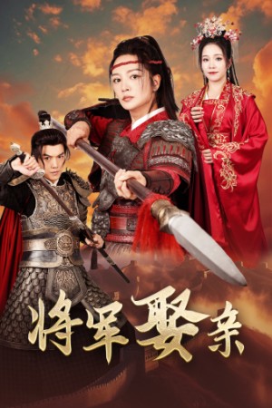 将军娶亲（36集）