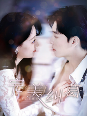 完美纠葛（68集）