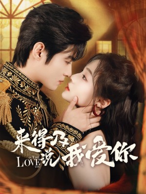 来得及说我爱你(70集)