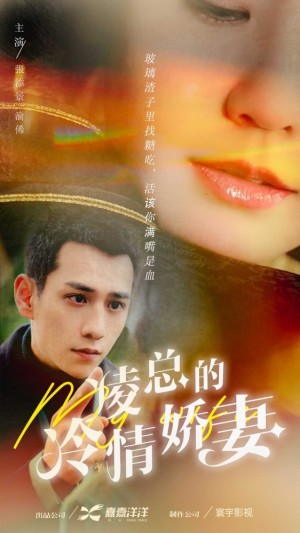 《凌总的冷情娇妻》