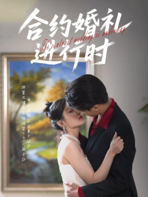 合约婚礼进行时(30集)
