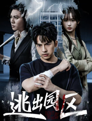 逃出园区（28集）