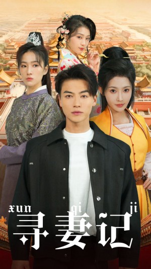 寻妻记（52集）