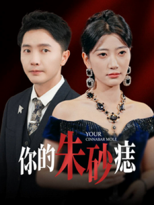 你的朱砂痣（77集）