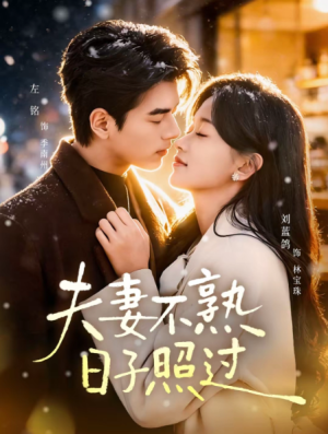 夫妻不熟日子照过（80集）